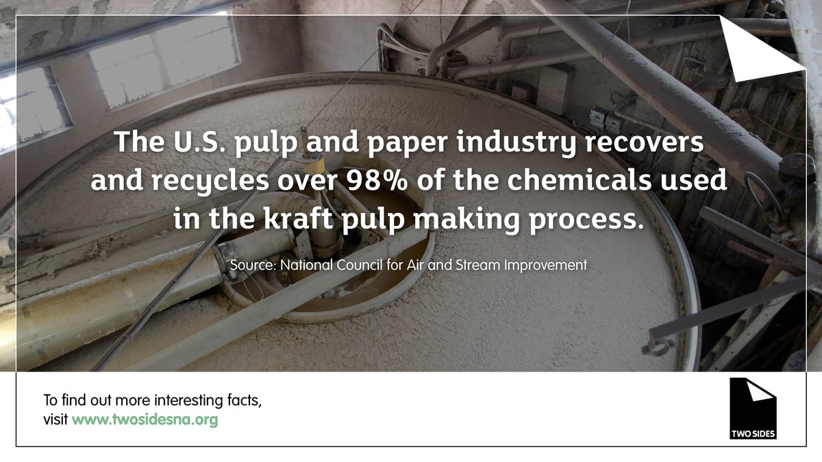 The U.S. pulp and paper industry recovers and recycles 98% of the chemicals used in the kraft pulp-making process. Learn more #paperfacts.

pulse.ly/y17jc7d5zd

#kraftpaper #paperindustry #paper #circulareconomy