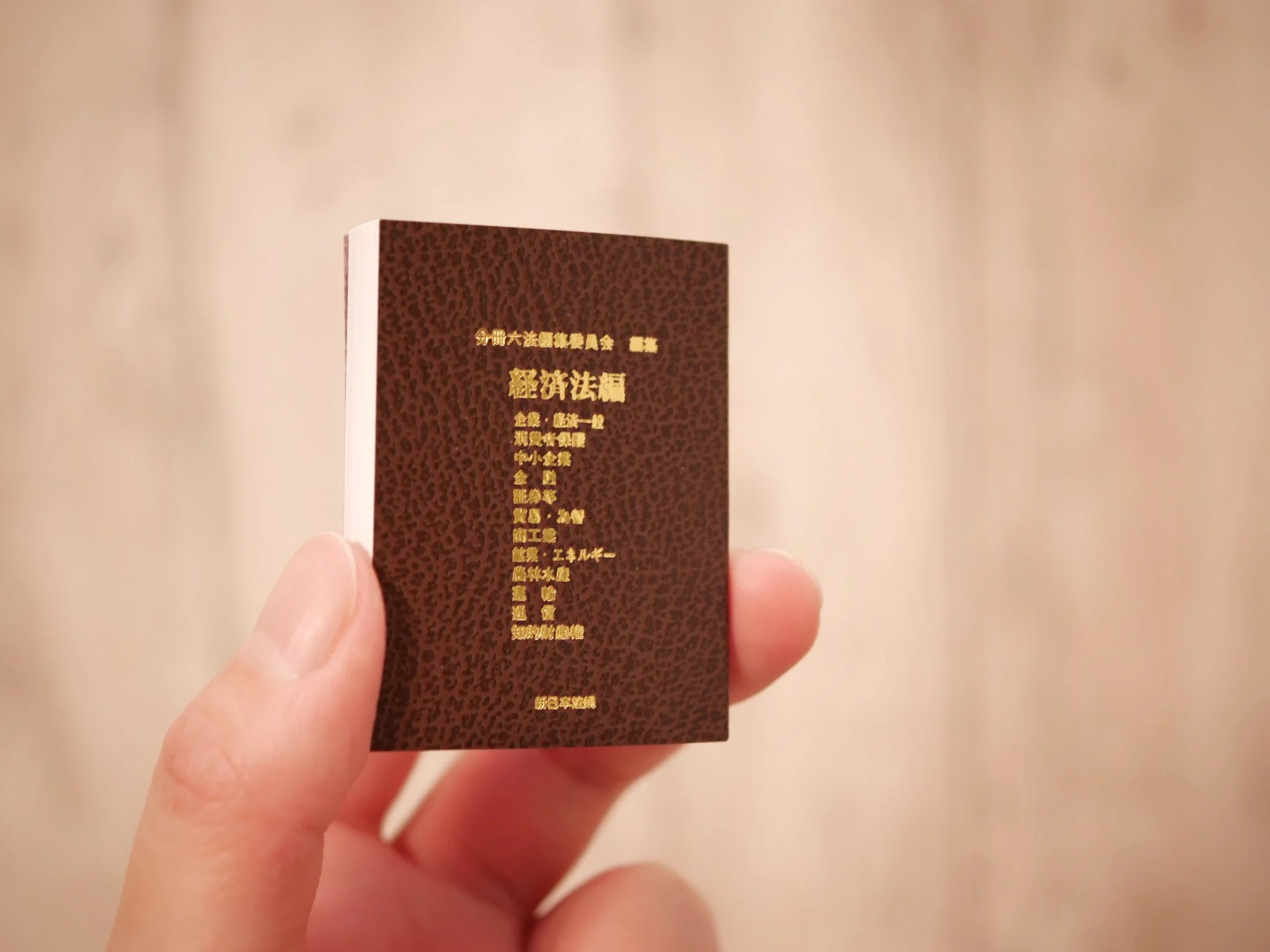 これって売れるの！？？文字サイズ0.5mm六法全書登場！