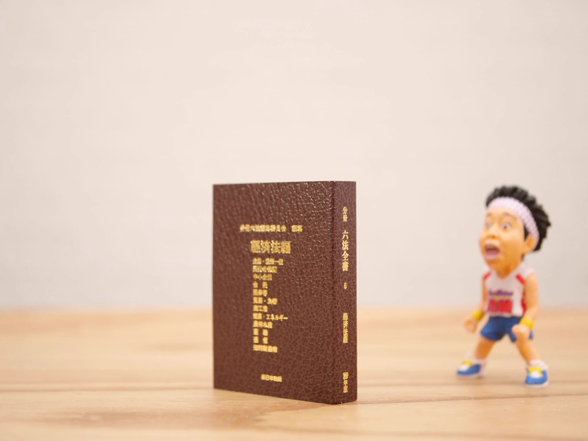 これって売れるの！？？文字サイズ0.5mm六法全書登場！