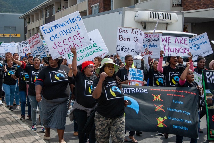 GroundUp_News's tweet photo. Workers demand harsher penalties for farms violating labour laws https://t.co/0sDYb4PgwI @deptoflabour @women_on_farms https://t.co/6yiIsSmAco