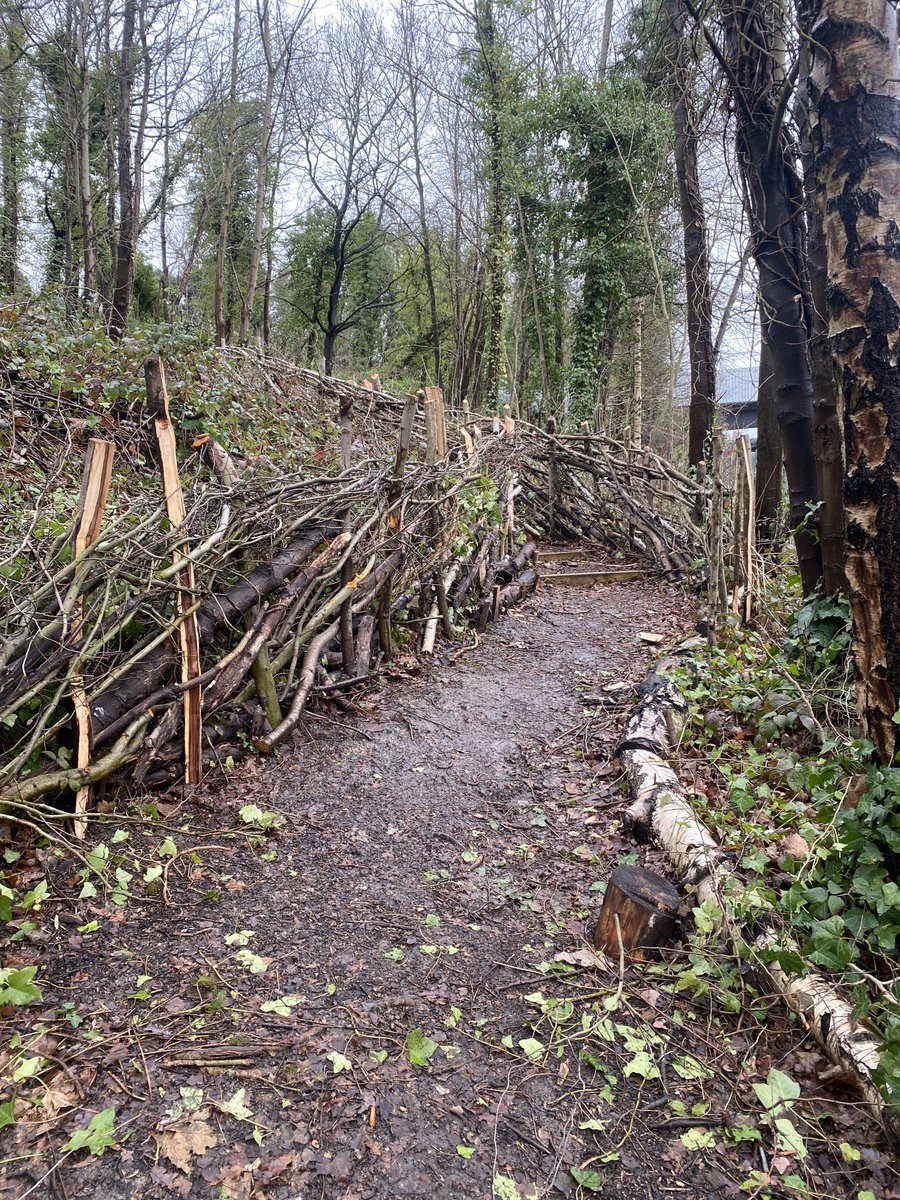 We’re delighted to be 1 of 22 projects funded by ⁦@MayorofLondon⁩ #RewildLondon. Hedge laying along Buckthorne rail track fence has started - hedgerow provides habitat for a wide variety of species. ⁦@LDN_environment⁩ ⁦⁦@SirPeterHendy⁩ ⁦@jonny_nesbitt⁩
