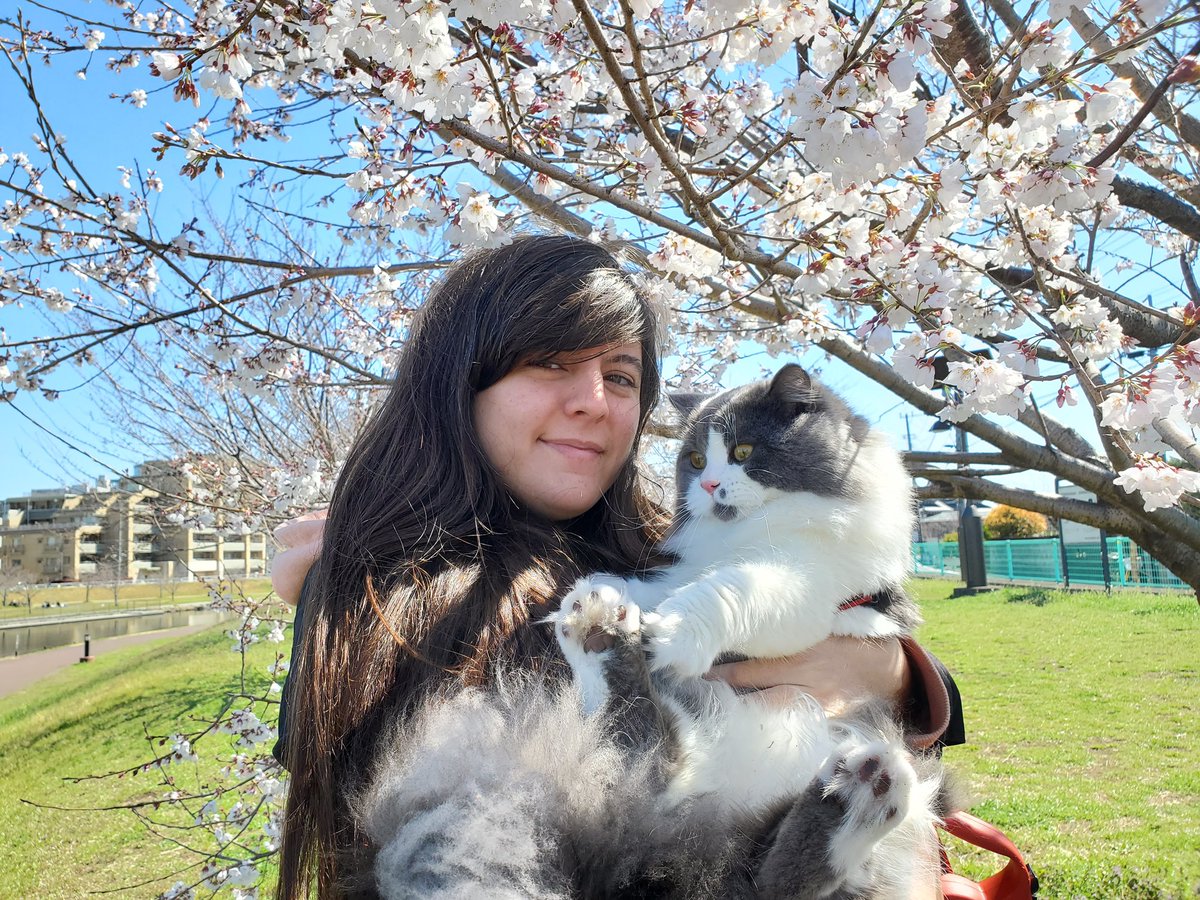 elly_lakes's tweet photo. On Sunday we did Hanami under the same tree as last year, when Mr. Fuzzy was still a kitten, and I was unaware of what was waiting for me. So many things can change in just one year! We should try to enjoy the small things in life 🌸
#ellylakes #InsideJapan #hanami #MrFuzzy https://t.co/z9eV0d9NnO