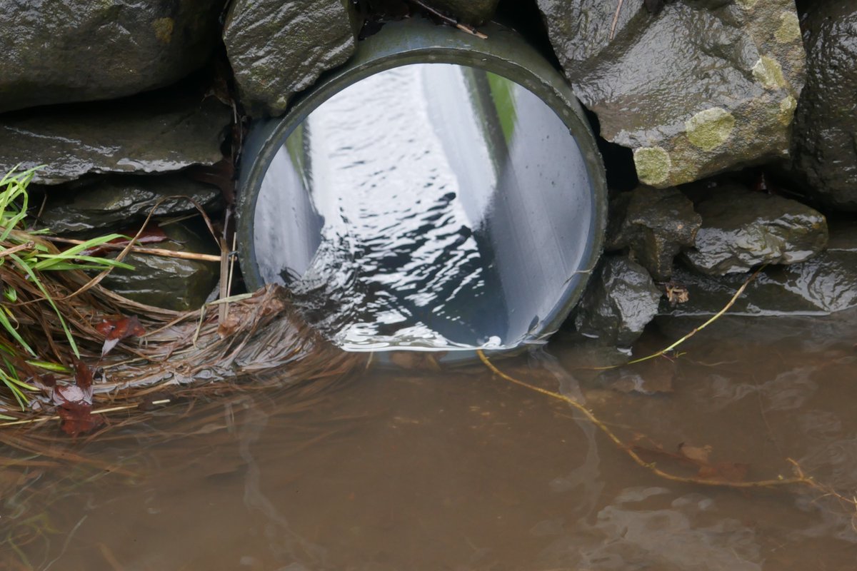 TheLengthsman's tweet image. As I near #SparkBridge this corner always floods ~ even has a huge pipe to catch it when it does
There is a grooved kerb which fills up with mud every year prevents it running away !