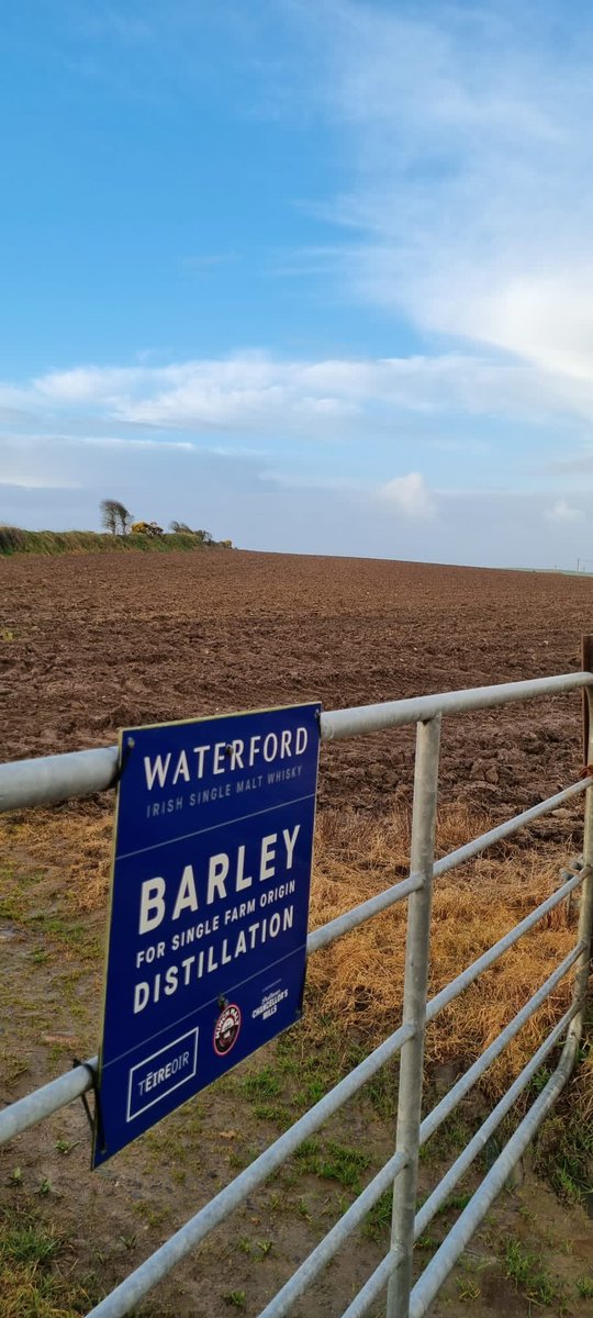Waterford Distillery tweet media