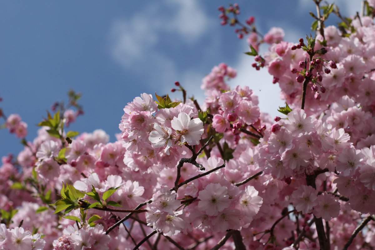 normantrust's tweet image. The Trust’s next Grants Committee meeting will be held on 16th May 2023 and will consider applications received up until midday on 9th May 2023. Please apply online: https//nfct.org #grants #funding #charities #devon #cornwall #somerset