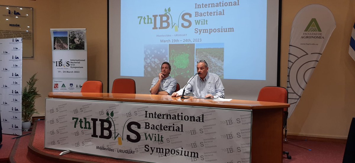 7IBWS2023 tweet media