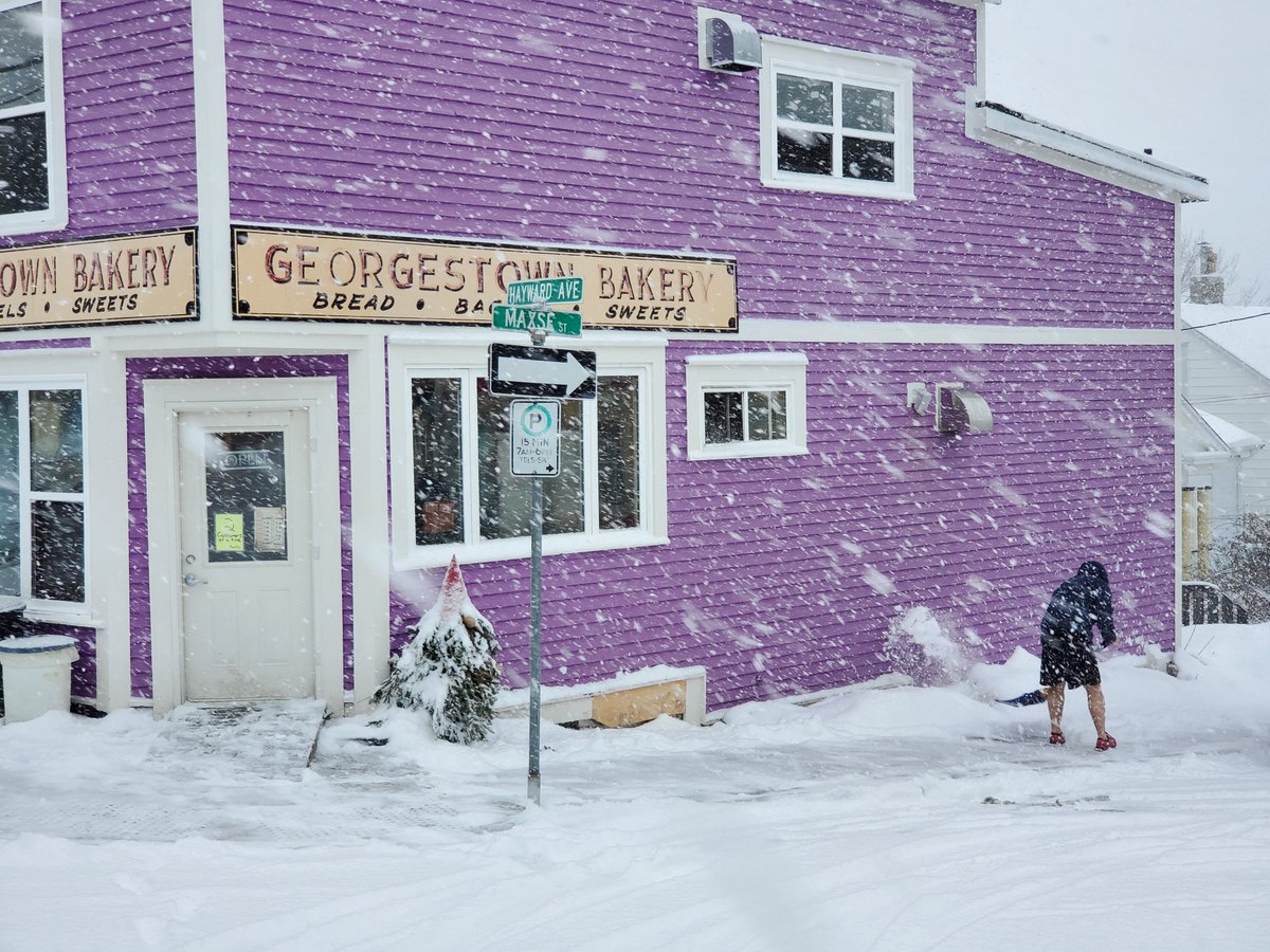 LouiseFrances23's tweet photo. St. John's new snow blanket. 
#med6288
@StJohnsTelegram @NLtweets https://t.co/yzSvgHhESI
