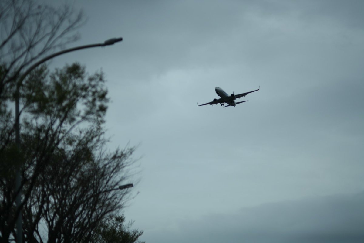 uchinonews's tweet photo. ニッコールのオールドレンズを入手し、ぶらっと徘徊。

くもりのち雨

Nikkor Q AUTO 135mm f2.8
EOS 5D

望遠レンズは嵩張るし重いけど、印象的な画が出ますね。 https://t.co/gvrloUgvxw