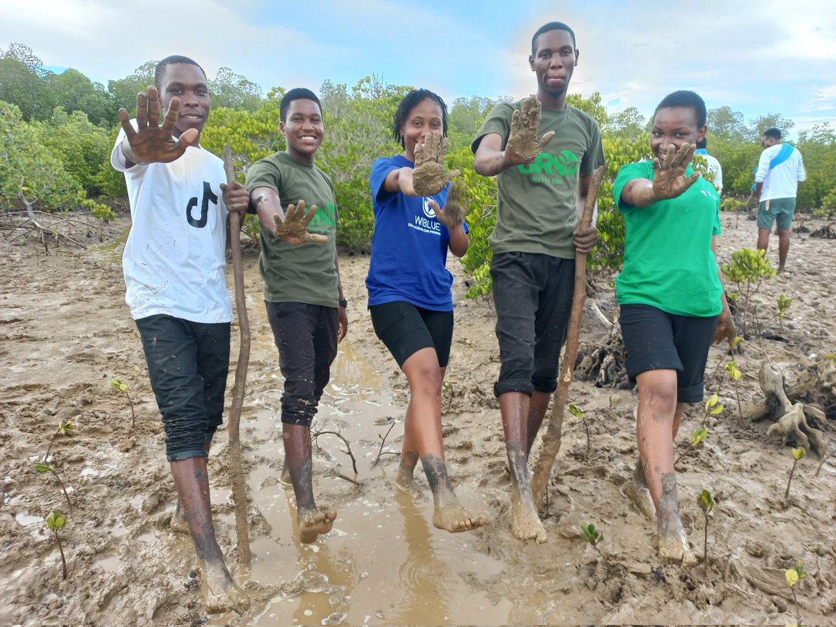 christinemajeni's tweet photo. Happy hands,smiling feet♡
The joy of planting mangroves.
#wiblue
#growwithus
#15bntrees
@Stockholm50_Ke https://t.co/JJxBcNnmhx