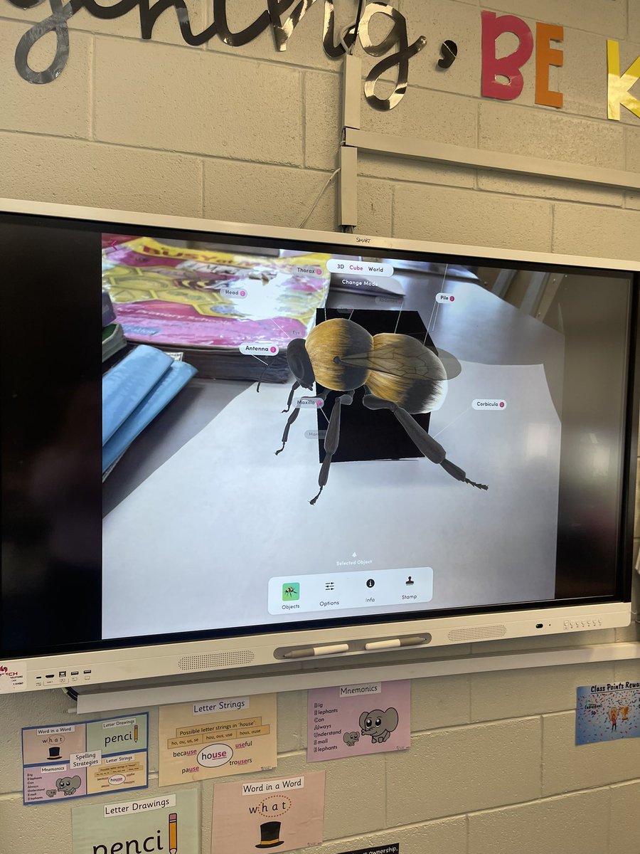 Having fun using #mergecube #objectviewer to learn about bees for our @OurClassBook project! Combining #science #art #English in one lesson 🤩🤩 @BeesStemMIC @PDSTPrimarySTEM @SFICuriousMinds  #STEMeducation