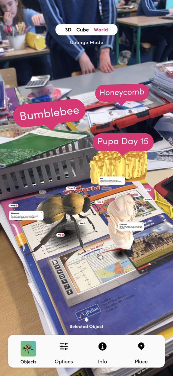 ScoilFhionain's tweet photo. Having fun using #mergecube #objectviewer to learn about bees for our @OurClassBook project! Combining #science #art #English in one lesson 🤩🤩 @BeesStemMIC @PDSTPrimarySTEM @SFICuriousMinds  #STEMeducation https://t.co/QZgpTtEGwb