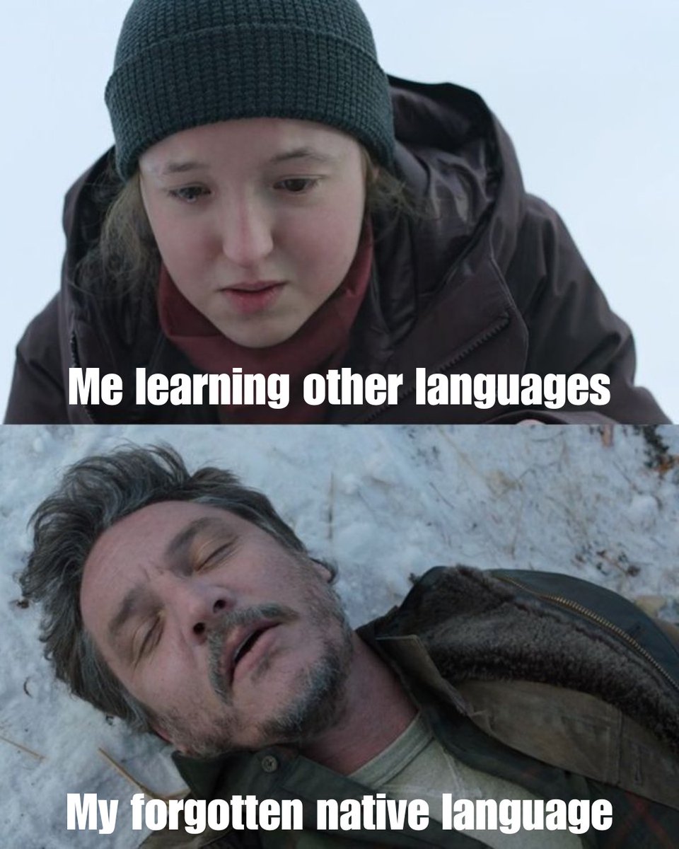 RykeWeiss's tweet photo. It's dead 🤣 

Follow me for more language memes @RykeWeiss
.
.
.
.
.
.
#languagememes #duolingo #duolingomemes #langtwt #languagelearning #memes #languages #idiomas #studytwt https://t.co/w5mrM8EUCW