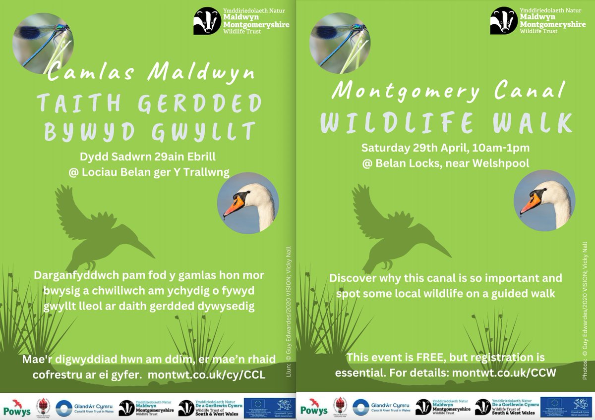 MontWildlife's tweet photo. If the glorious sunshine has inspired you to get out and about, why not join us for a FREE Guided Wildlife Walk along the #MontgomeryCanal on Saturday 29th April? 🥳 The event is FREE 🤩but registration is essential 👉https://t.co/bEK58FC99K
#MontgomeryCanal #RuralNetworks https://t.co/V6wbadGmQt