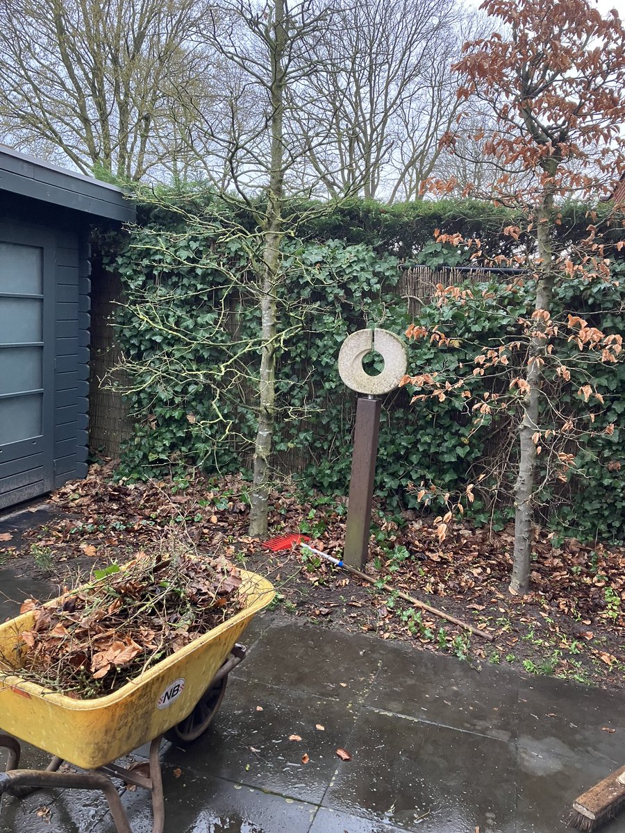BeautifulGarde1's tweet photo. #beuken snoeien #snoeiwerkzaamheden in Oosterhout #groenonderhoud #voorjaarssnoeiwerk https://t.co/JGnWQ4dMj6