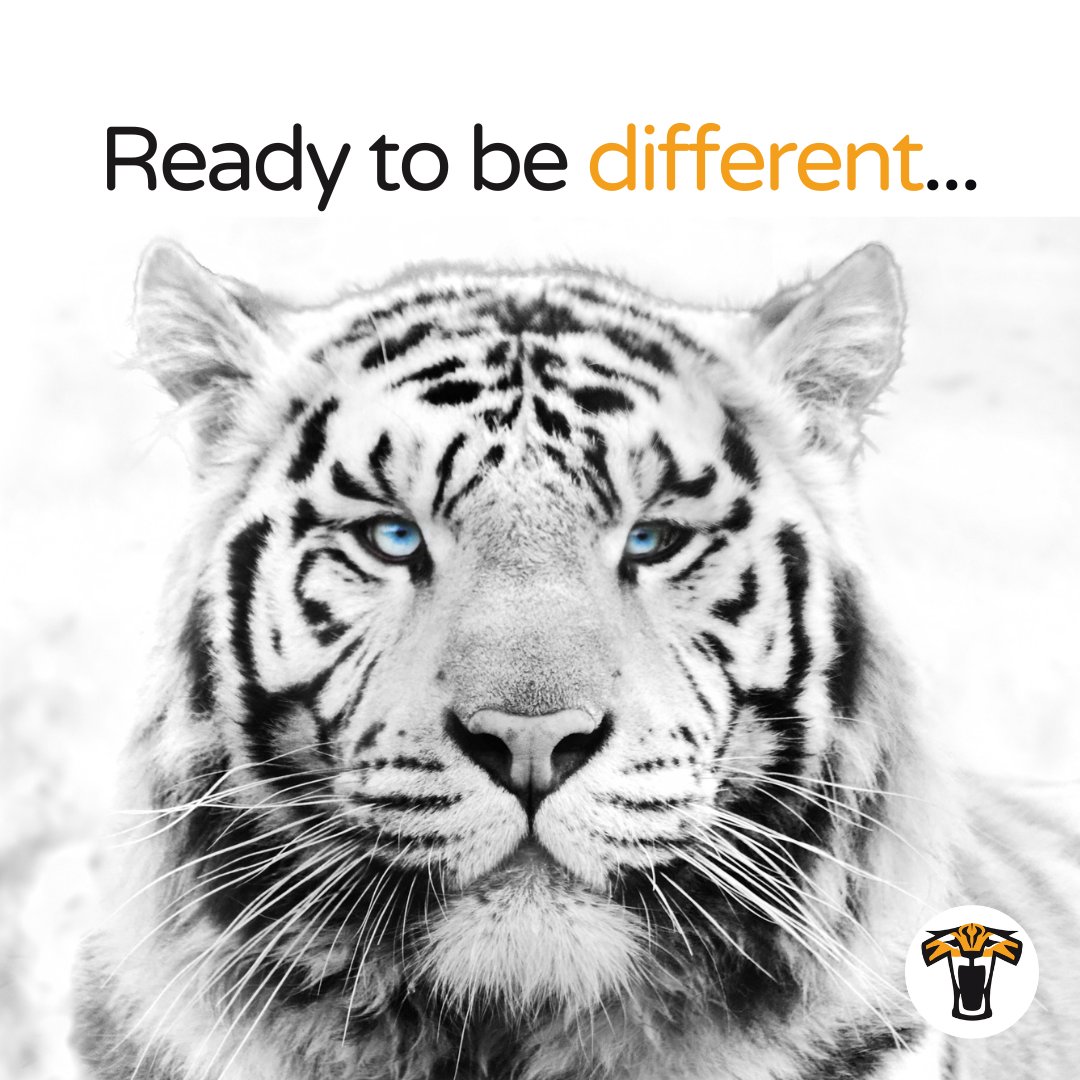 tigerdarts's tweet image. Like a tiger about to ambush it’s prey, surprise your opponent with your style…

#BeUnique. Catch them off guard, do things differently, put your personality on the #dartboard and be the #winner!

#StripeYourDarts #bespoke #handcrafted #customdart #custombarrel #darts🎯
