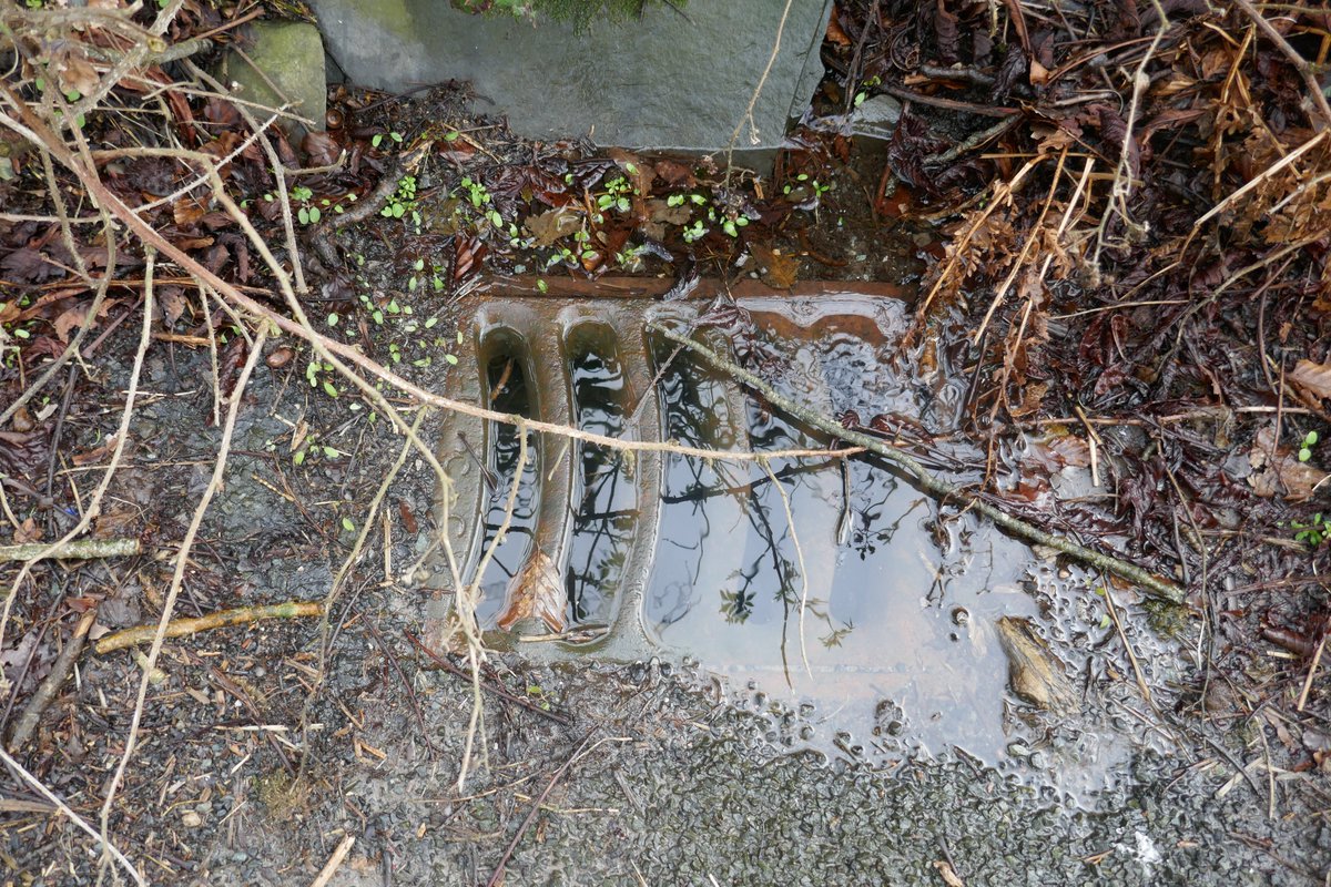 Archie Workman tweet media