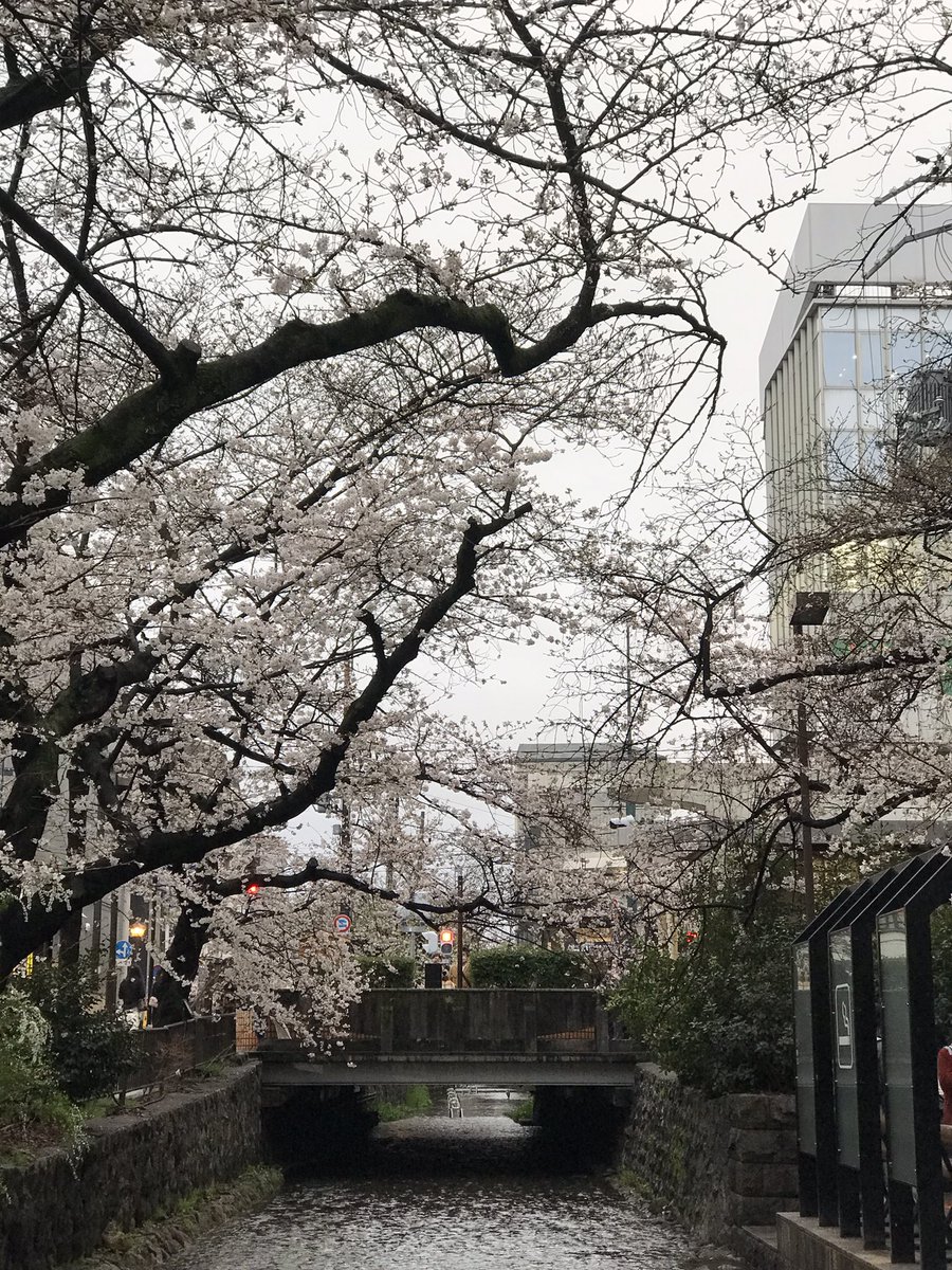 ShiroxFPS's tweet photo. Day 3 - Kyoto https://t.co/IAz08Njj2J