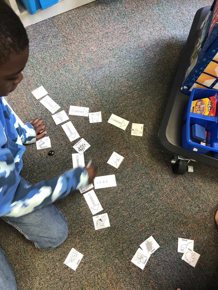 maxwellj_16's tweet photo. Choice to create their own food webs! @Longbranch_Elem https://t.co/nlgCKHhgvu