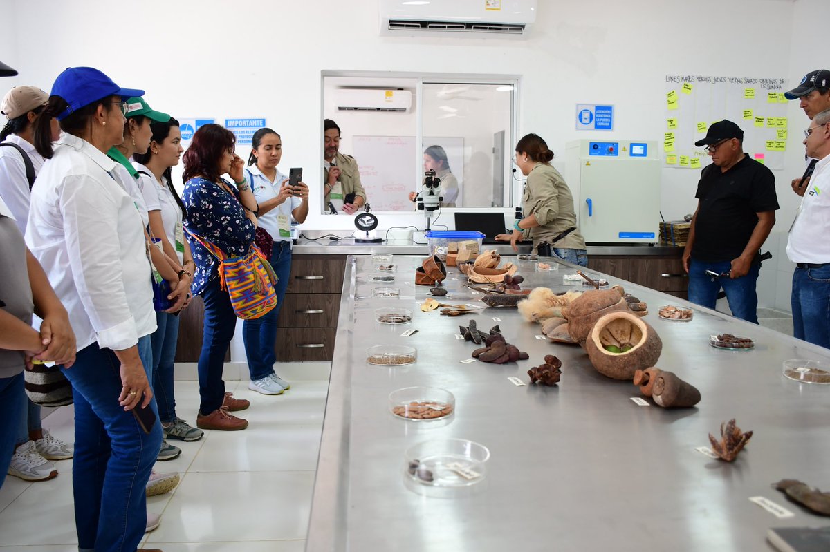 Urragenerador's tweet photo. 👏Agradecemos a nuestro aliado @fundacionnatura por su participación en el evento de lanzamiento del
área de reproducción vegetal y la asistencia de @CorporacionCVS @Unicordoba_Col @SomosAGROSAVIA, Afinia, FAO, Universidad de Cartagena, ADR y Unisinú
🧵⤵️ https://t.co/c53yhJVBDf