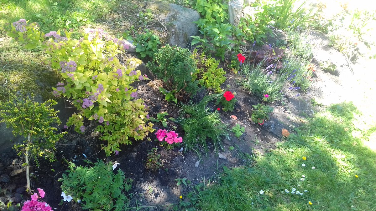 National Day of Reflection Today is the third anniversary of the start of covid lockdowns. Thinking today of those who are no longer with us and reflecting on the last 3 years but also looking forward with hope. The picture is from our own small remembrance garden