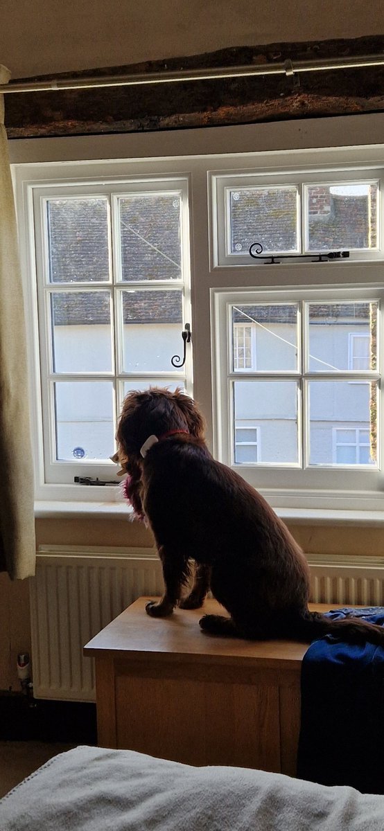 Emma Payne💙🇺🇦 tweet media