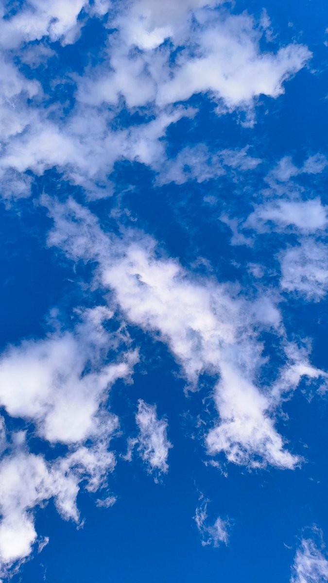 zommylens's tweet image. Shot on @oppo #FindN2Flip #FlexForm #OPPOAmbassadors