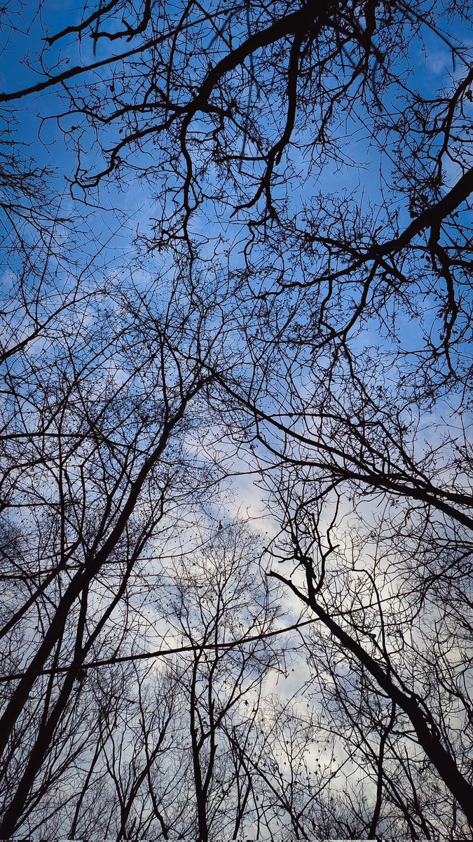 zommylens's tweet image. Shot on @oppo #FindN2Flip #FlexForm #OPPOAmbassadors