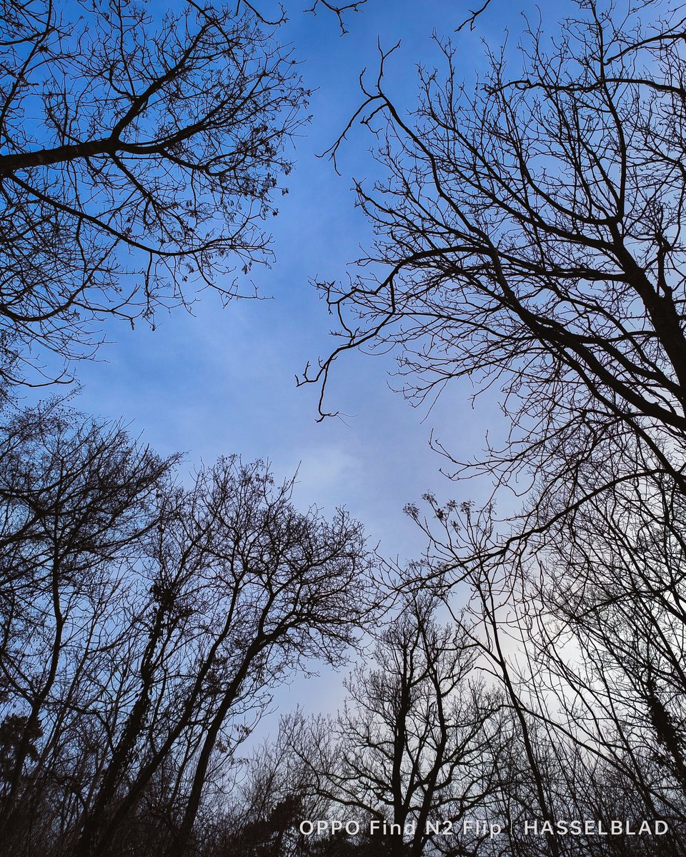 zommylens's tweet image. Shot on @oppo #FindN2Flip #FlexForm #OPPOAmbassadors