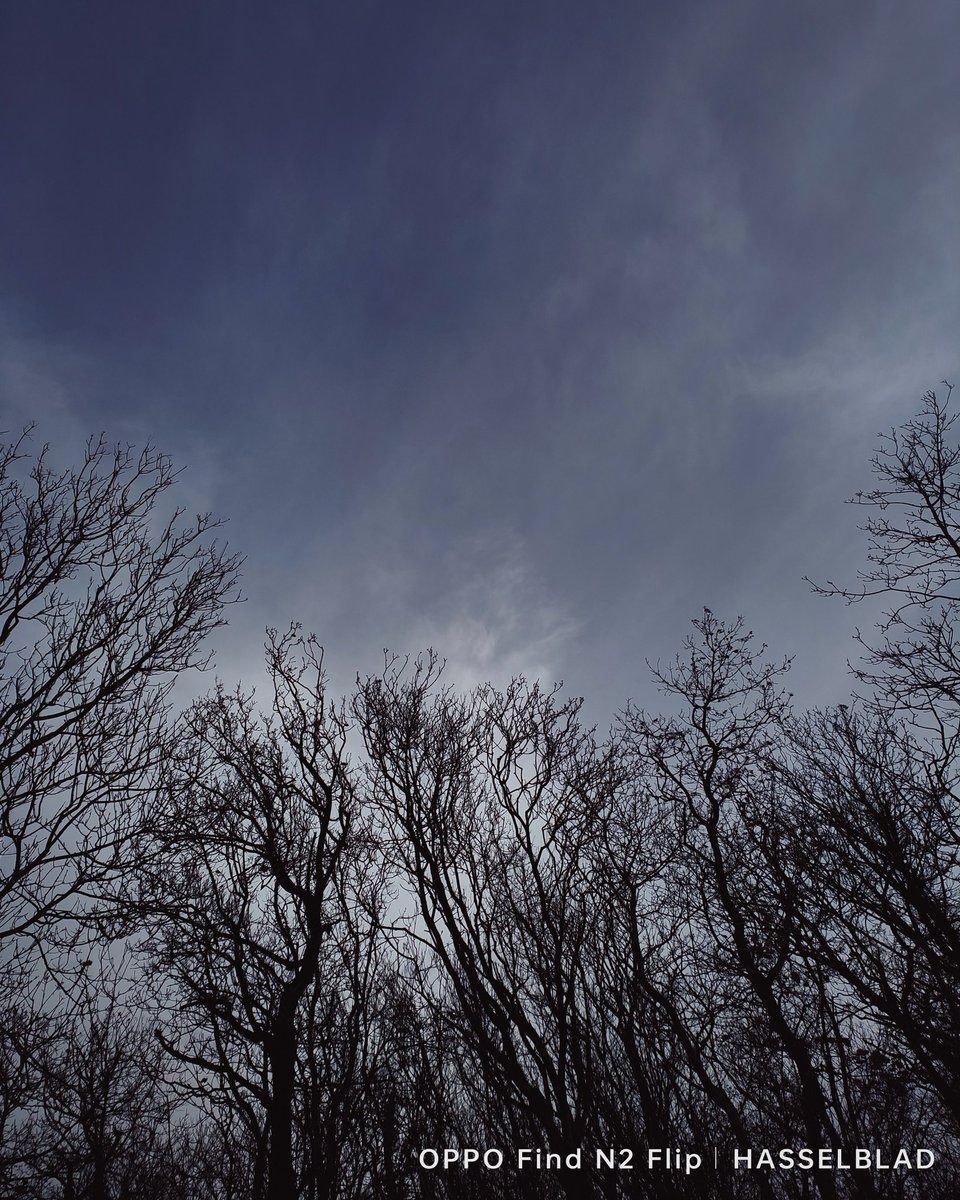 zommylens's tweet image. Shot on @oppo #FindN2Flip #FlexForm #OPPOAmbassadors