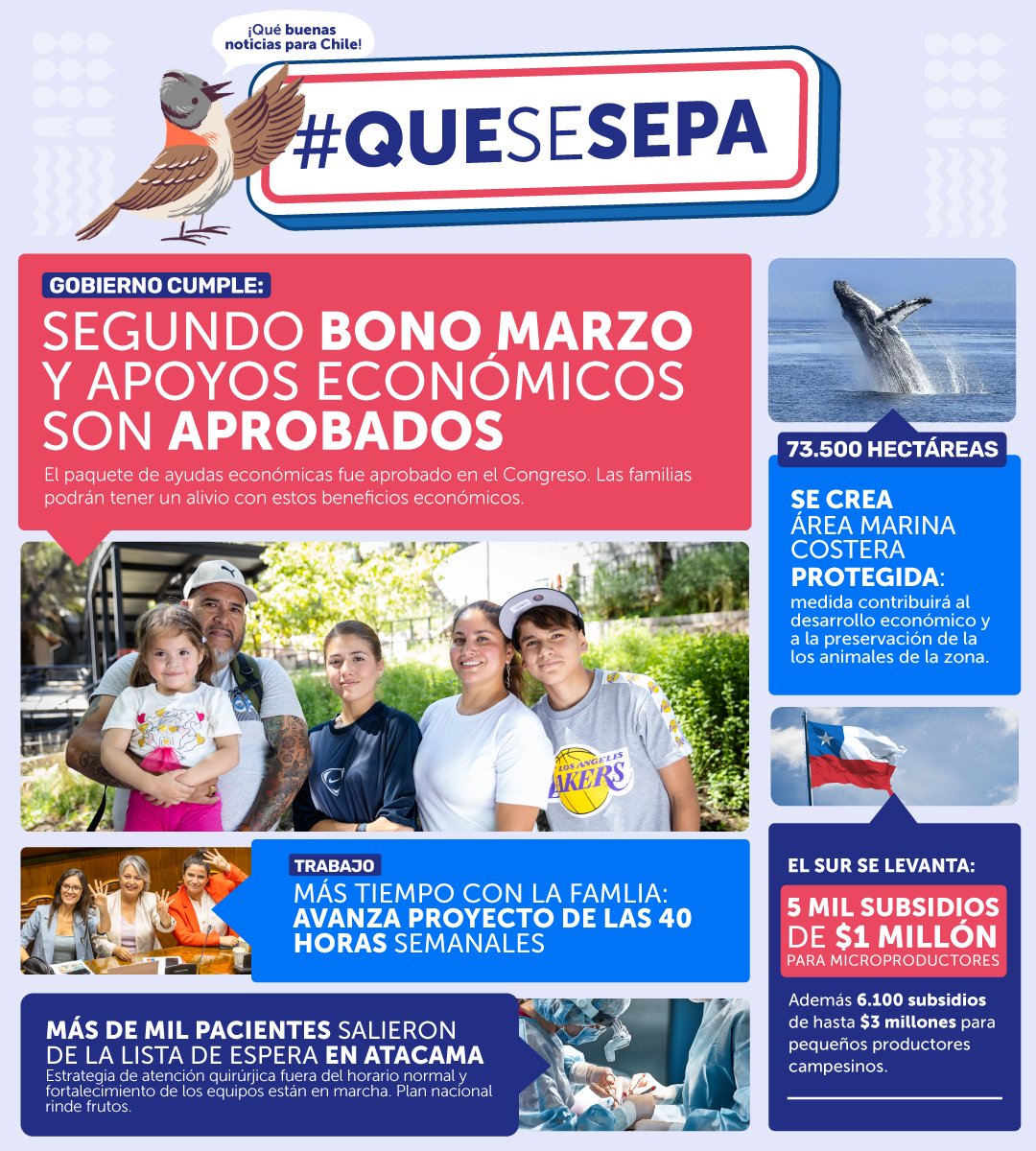 Como Gobierno estamos presentes por un mejor futuro para las familias y el medioambiente 🇨🇱🌱
✅ Avanzan las #40Horas
✅ 2do #BonoMarzo
✅ Más de 10mil subsidios para sector silvoagropecuario
✅ Disminuyen listas de espera
✅ Nueva área marina protegida
#ChileAvanzando #QueSeSepa