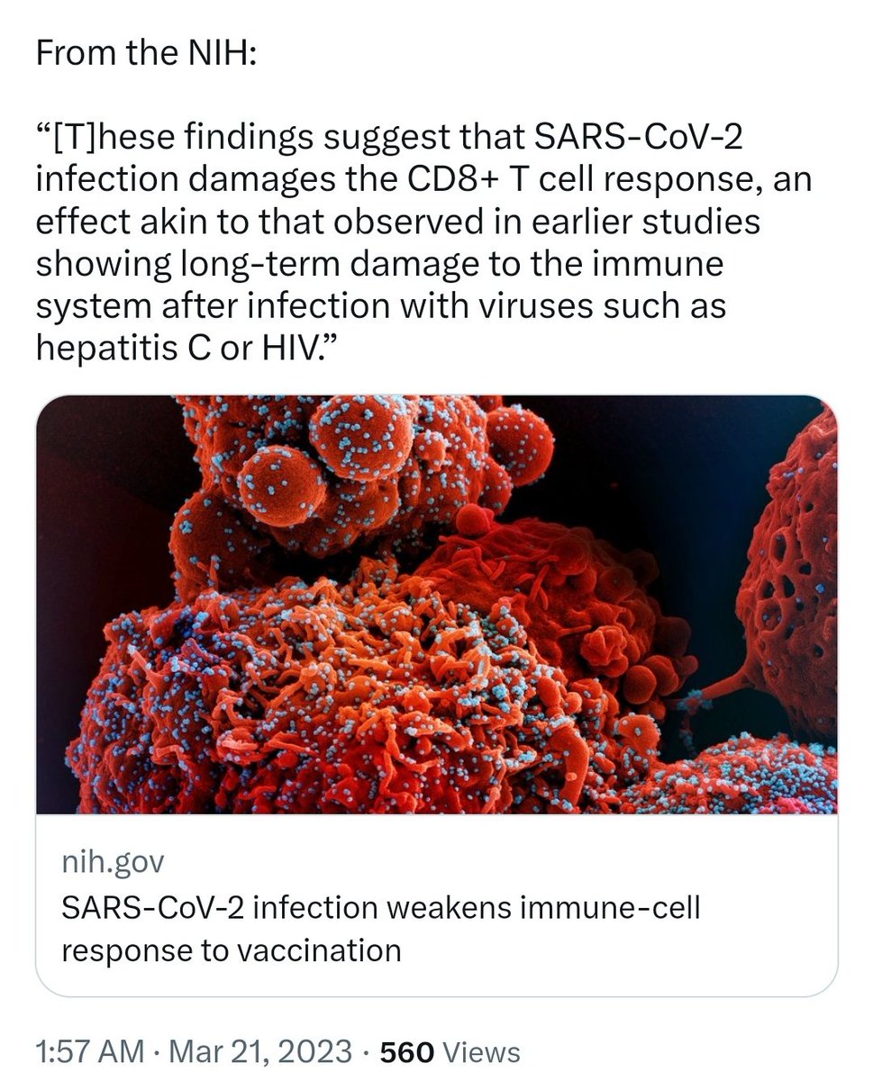 amused_as_hell's tweet image. Thanks for the info.

meanwhile COVID hospital cases are up 134% since the beginning of the month

With XBB.1.5 now the dominant variant.

And the NIH has just said COVID is quite a lot like HIV 👍

#ForUsAll
#HelloAgainWorld
#SchoolsAreSafe