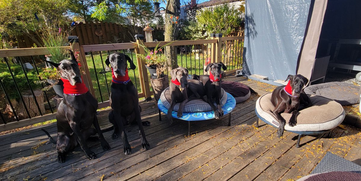 macfrattonphoto's tweet photo. @breakfasttv Macpack ready for summer https://t.co/iVeChRtaZu