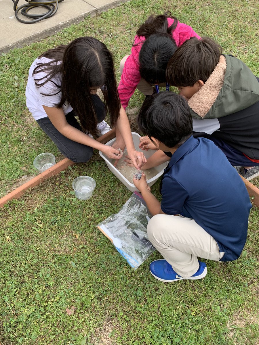 Maestra_Ramirez's tweet photo. The kids had a blast with the mixtures and solutions lab! It’s always nice when we get to learn outside. ☀️ https://t.co/VecTUy5GD2