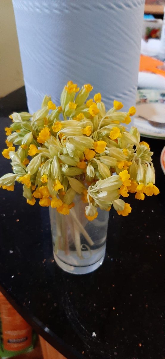 Maureen Tully tweet media