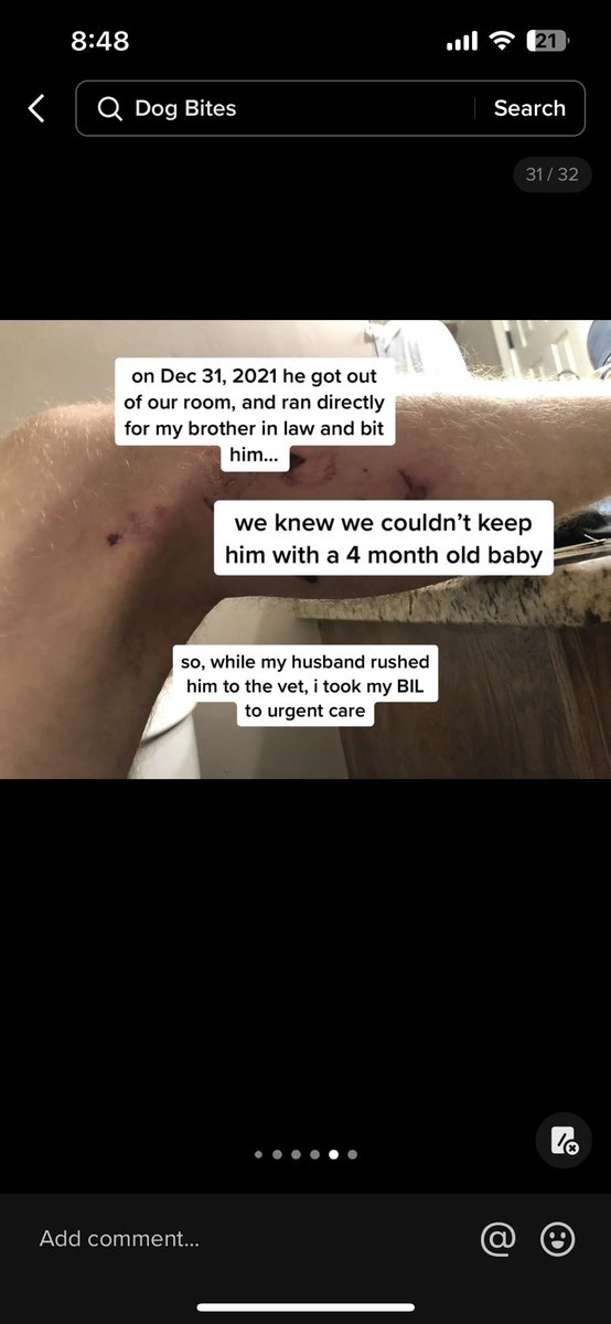 persecutedsgin's tweet photo. Fun fact: the owners of this dog just had to put him down because he still would randomly attack people and was showing aggression towards their new born baby https://t.co/r39zfCKq8N