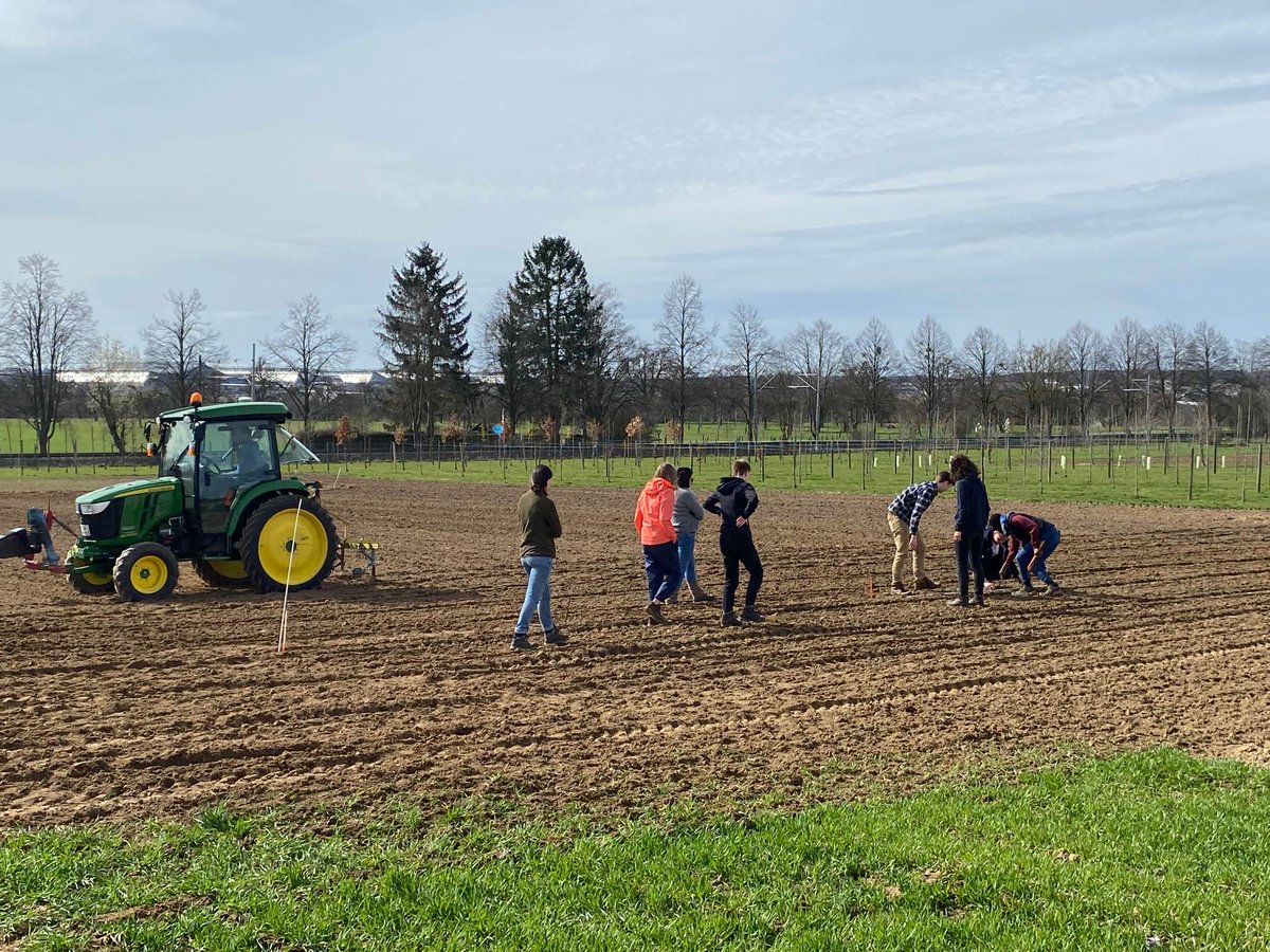 PhysLab's tweet photo. Back in the field.#Quinoa #PhysLab https://t.co/Cx9Dq7xGVp