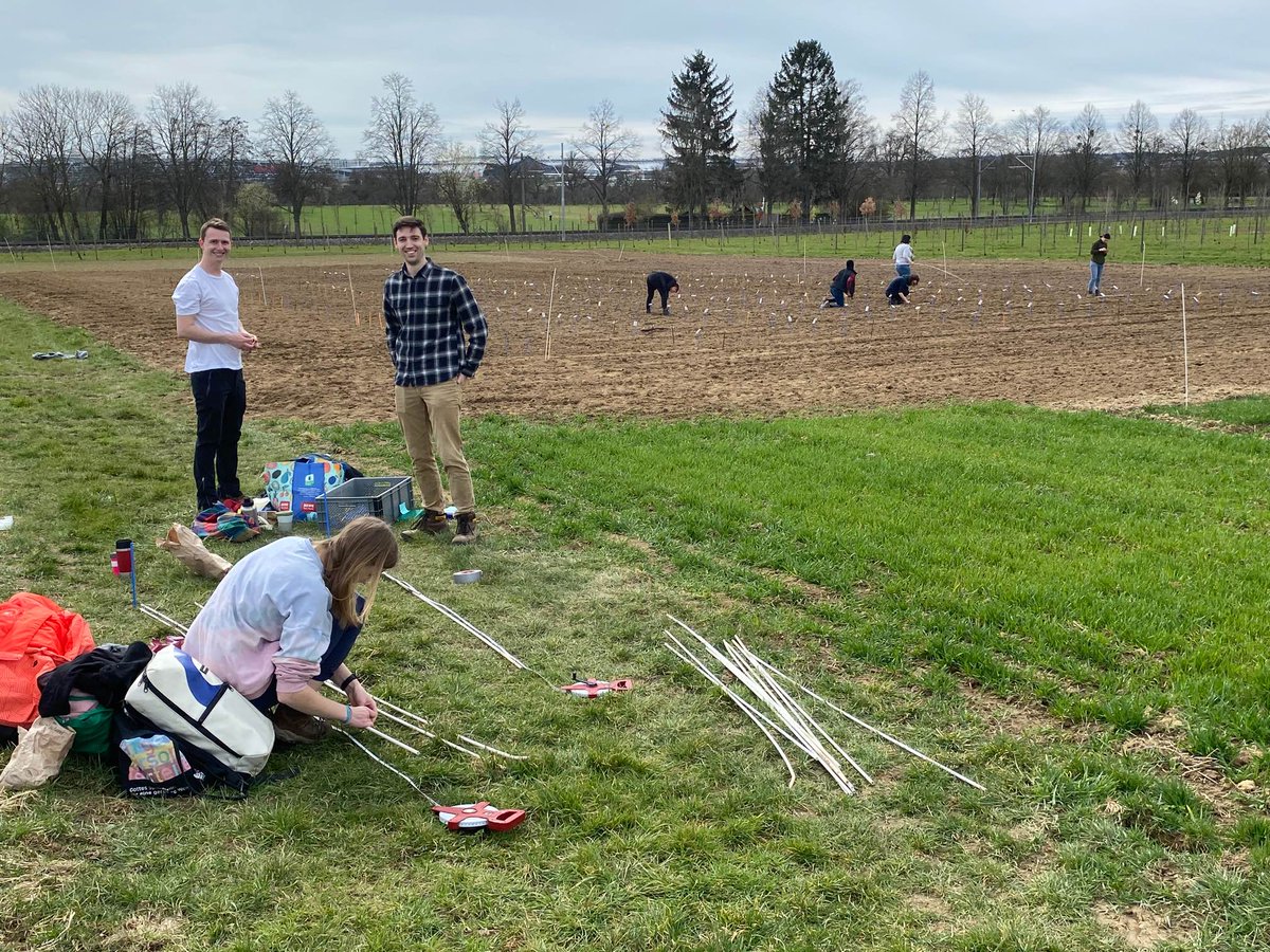 PhysLab's tweet photo. Back in the field.#Quinoa #PhysLab https://t.co/Cx9Dq7xGVp