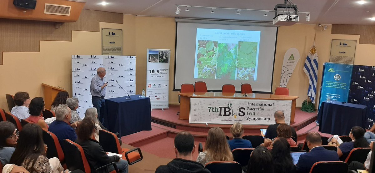 7IBWS2023 tweet media