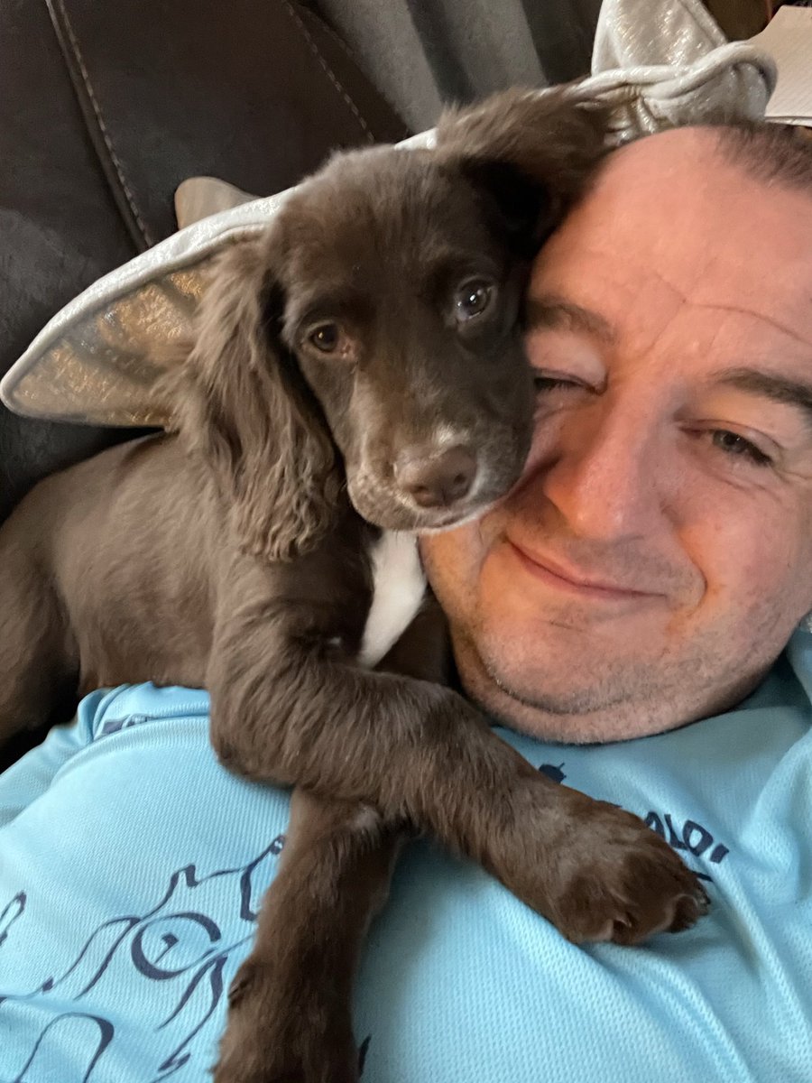 BATESPAUL1's tweet photo. @VodafoneUK Buddy the Sprocker. https://t.co/lARRNQXuoT