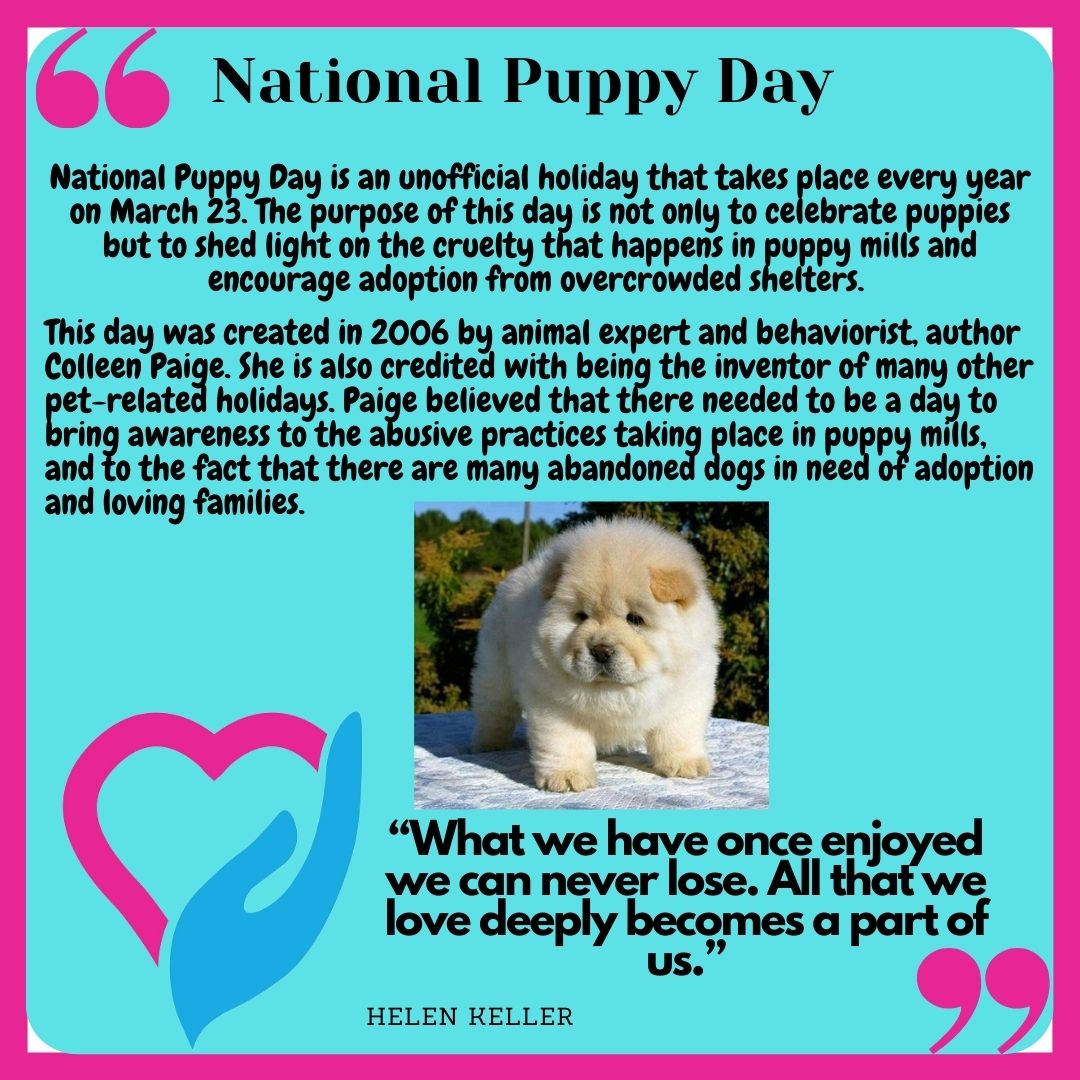 KTG Social Care (@ktgsocialcare) on Twitter photo 