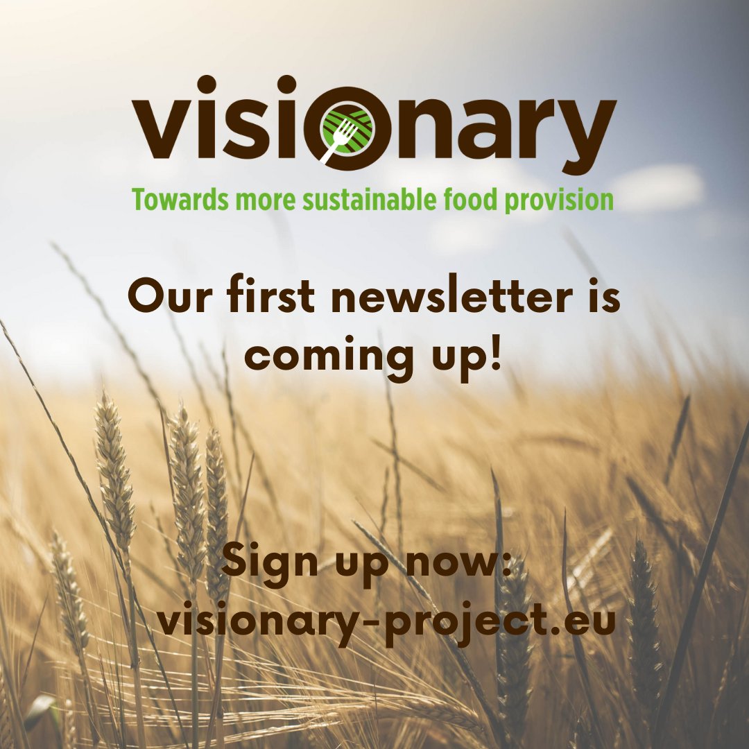 Is #Europe ready for a more #sustainable #food provision? What holds us back, what brings us forward? Sign up to our new #visionary_eu #newsletter and always get the latest on our research results. visionary-project.eu/newsletter/