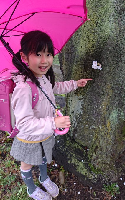 Twitterのコスプレ画像6