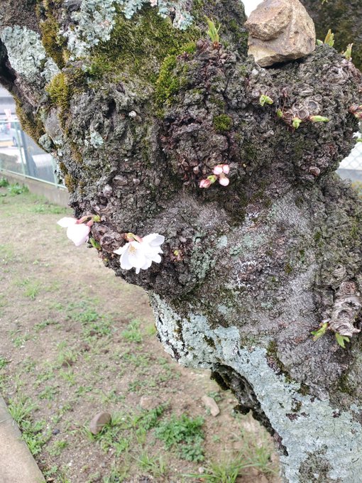  タイラーさん、こんばんは🌙😃❗返信遅れました🛐こちらは雨☔降ったり止んだりの１日になりました🛐この後も宜しく😉👍️🎶お