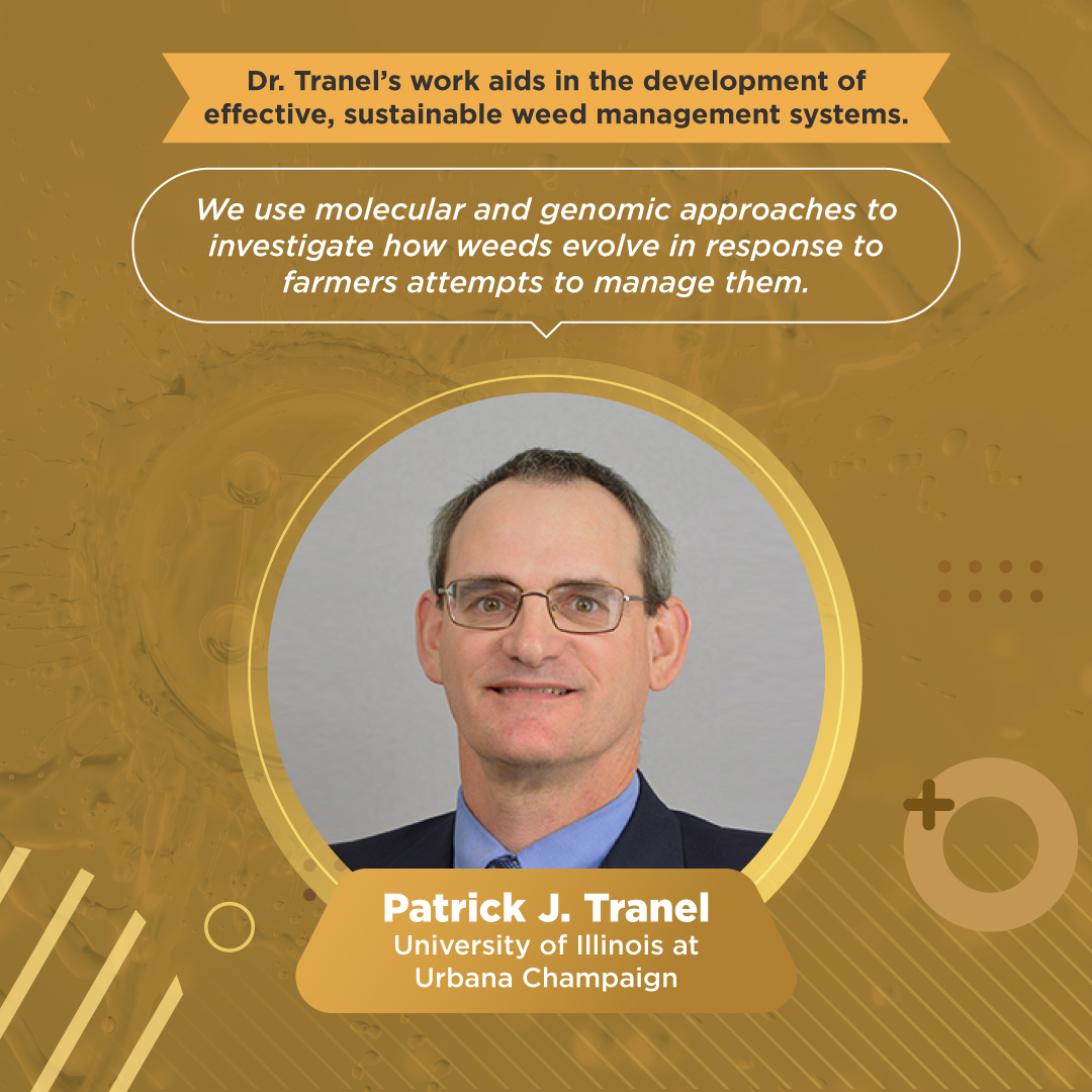 imppc2023's tweet photo. If you are interested in molecular weed science do not forget to join Dr. Patrick J. Tranel’s marvelous speech on imppc2023!

#IMPPC2023 #MolecularEntomology #MolecularPlantPathology #MolecularWeedScience #InnovationsInPlantProtection #Herbology #PlantProtection #insect #pest https://t.co/0z643gk6HA