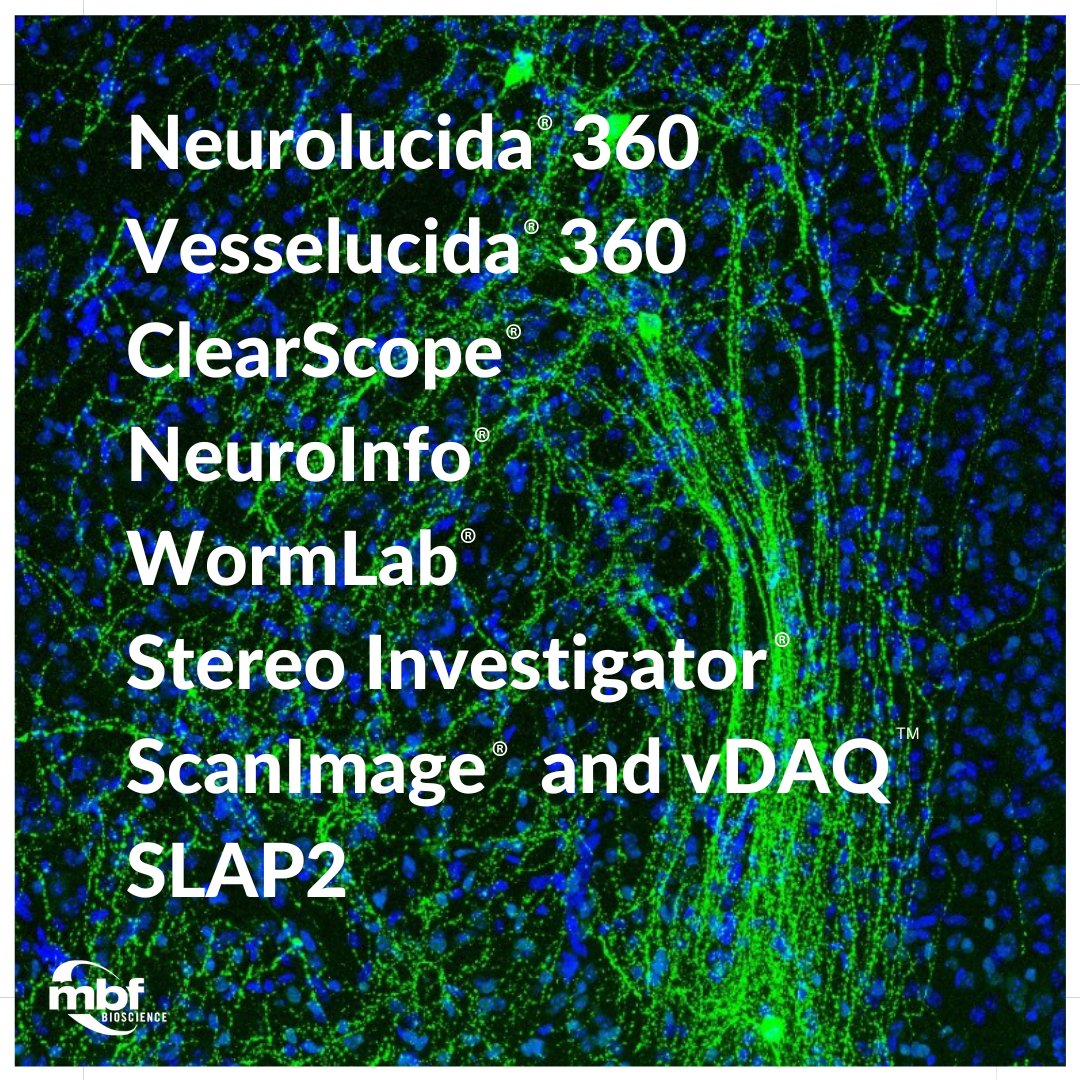 MBFBioscience's tweet photo. We are at booth no. 29 at the 15th Göttingen Meeting of the German Neuroscience Society #GoeMe23
Come visit us and browse our selction of products and solutions to empower your #research!
#neuroscience #MBFally #bigimagedata https://t.co/Nlw3a8sPhR