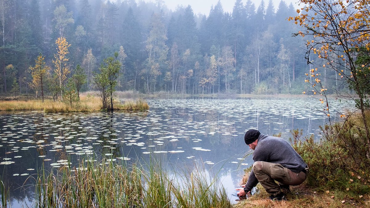 PohjolanVoima's tweet photo. Olemme käynnistäneet #luonnonmonimuotoisuus’ohjelman. Ohjelmamme mukaan keskitymme ensin #vesivoima’an ja lämpövoimaan. Alkuvaiheeseen kuuluu paljon selvityksiä ja lähtötilanteen selvittämistä, tavoitteita ja mittareita. https://t.co/6xZJVgeTOG #pohjolanvoima #vastuullisuus https://t.co/hLHTU08aby
