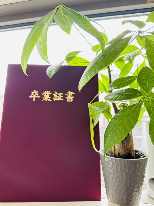 Twitterのコスプレ画像33