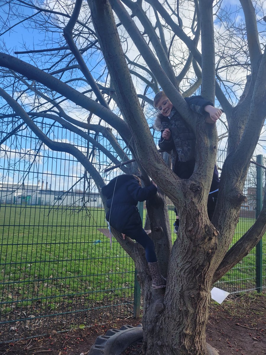 MrsTCaterpillar's tweet photo. We had children flying kites whilst swinging on the tyre swing, whilst climbing up the tree and balancing on the tyres. It was so much fun! πͺπ¨πͺπ¨πͺπ¨#FlyAKite #WindyDay @MorayPS @RAiSE_falkirk @GrangemouthSTEM @MorayPrimary1 @MorayP2H @MrsBellatMoray https://t.co/HA0sikzR3d