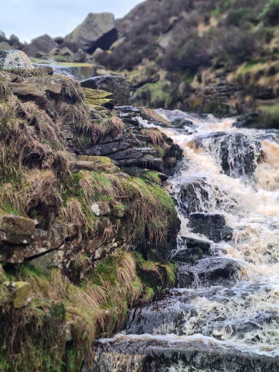 BigCheeseLogan's tweet photo. I done the Dovestones Reservoir circular yesterday my 1st long walk in a good while it's fair to say my legs are feeling it today.
Here's some nature snaps I took whilst out.
#Nature #Hike #Hiking #Walking #Pictures #Rt #Like #Manchester #Viewsinlife #scenery #Wilderness https://t.co/Z57VeVS2AE