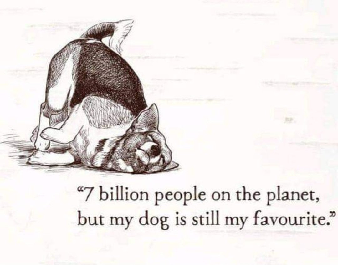 Who's with me on this ❤️ 🐾 ❤️ 
#DogLovers 
#dogparents 
#lovemydog 
#dogsarefamily